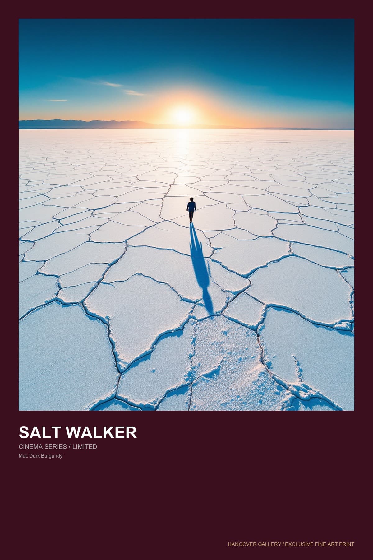 Salt Walker poster