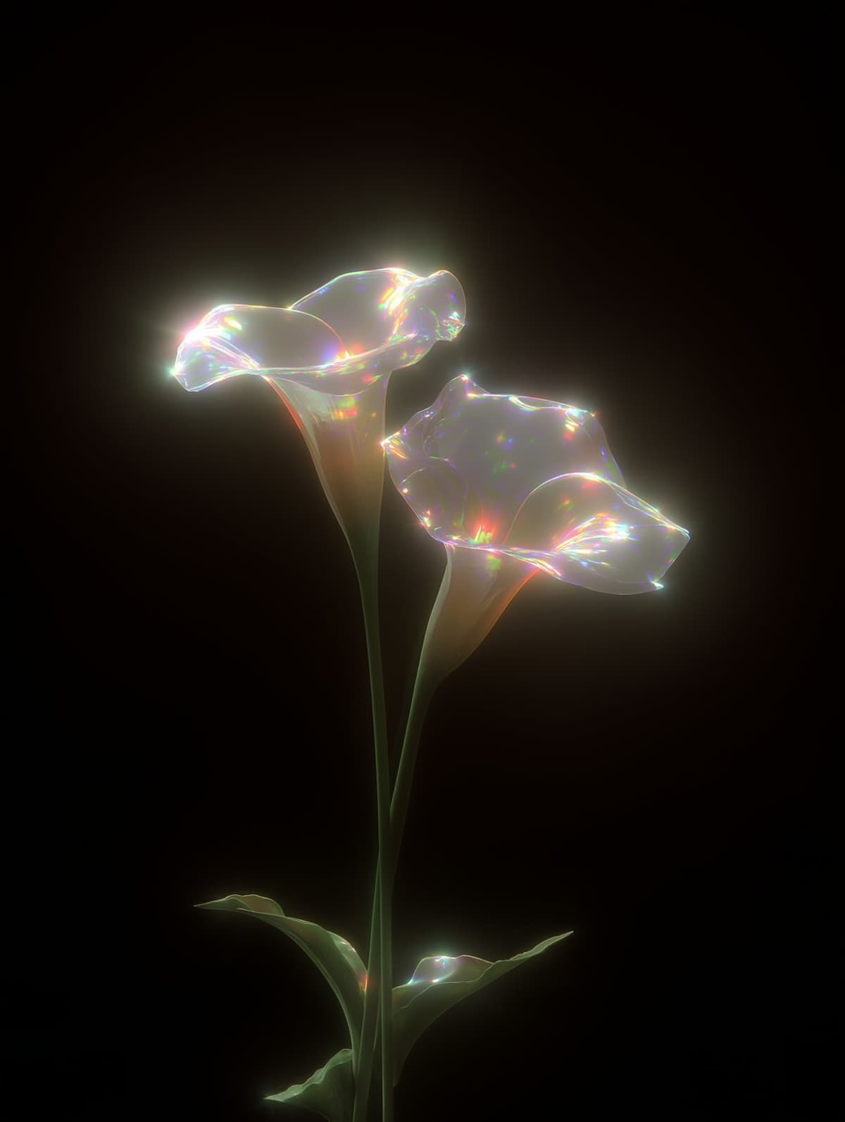 Dancing Lilly 1 상세 이미지