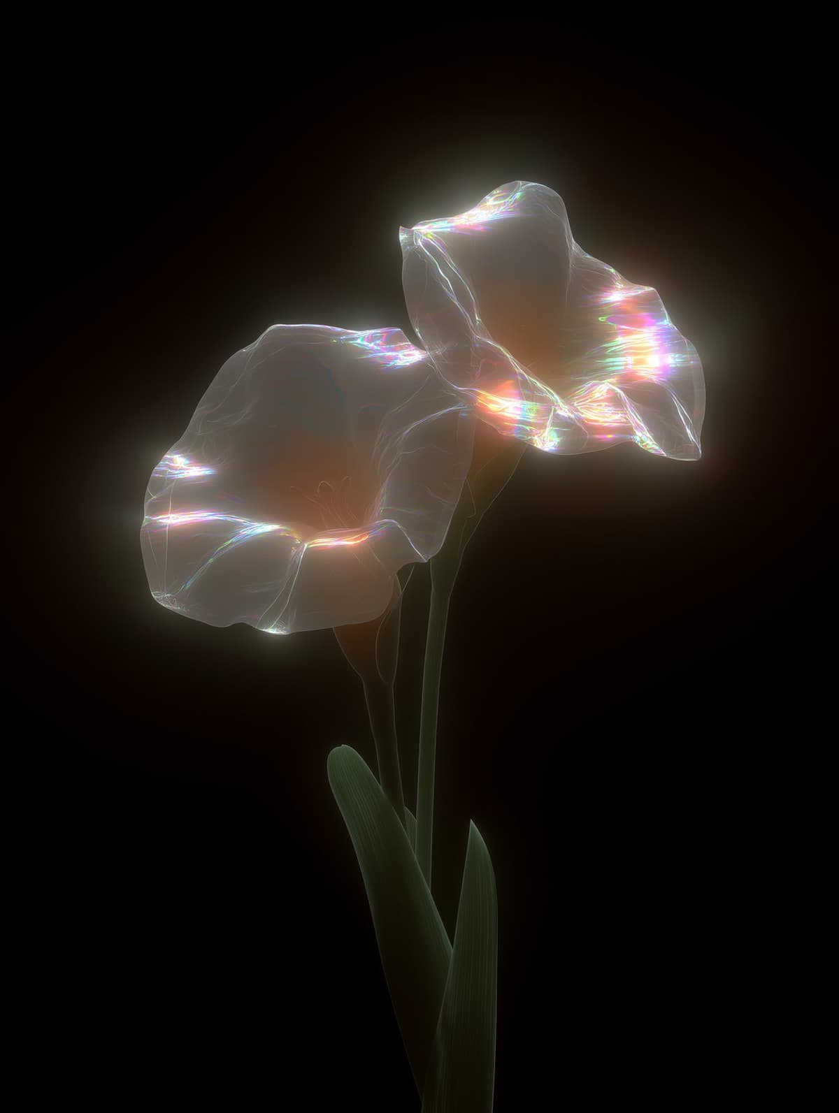 Dancing Lilly 3 상세 이미지