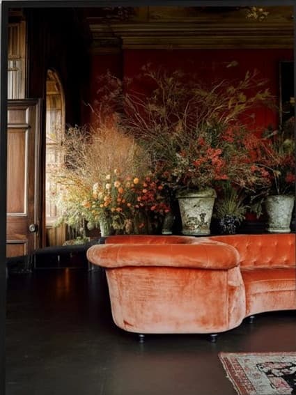 The Room for the Flower 3 — 1OF23