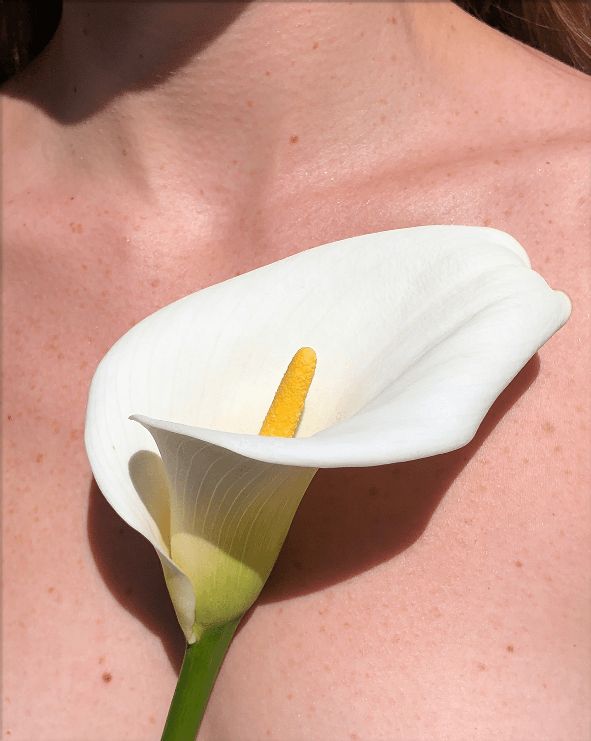 Calla Portrait — RR-04