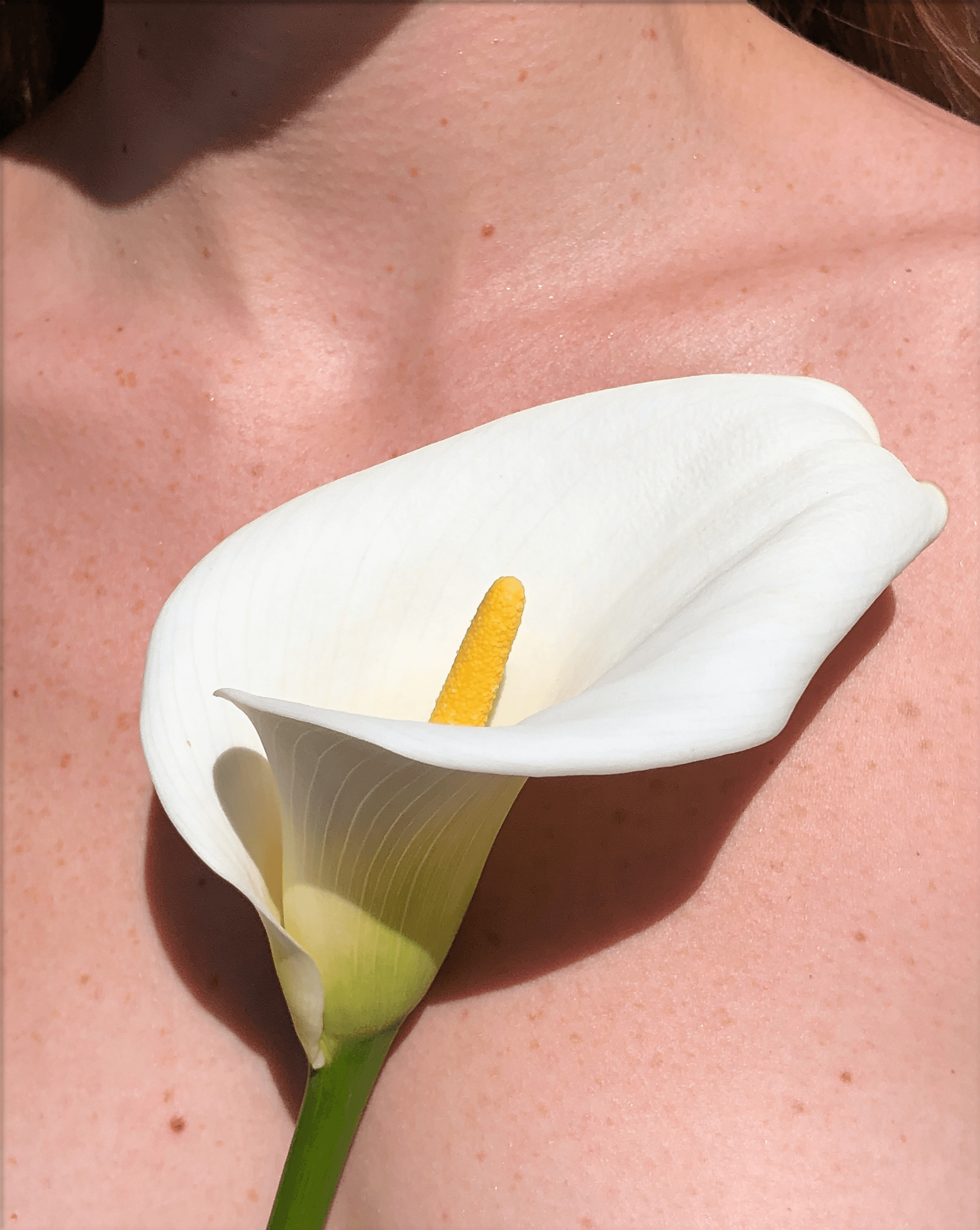 Calla Portrait — RR-04
