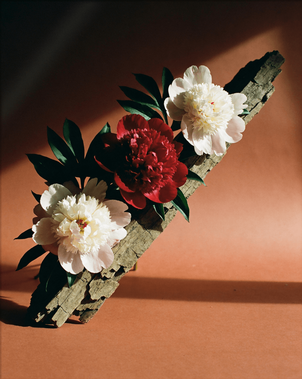 Bark & Bloom — RR-04