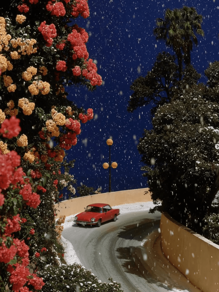 Winter Bloom — RR-05