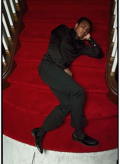 Red Carpet Repose — SENSIBILITY STAIR
